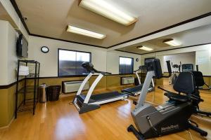 Hotel Ramada Inn Dfw North