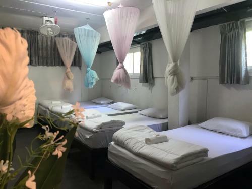Albergue Absolute House