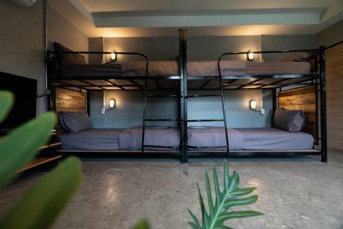 Sunny Hostel Chiangmai @tha Pae