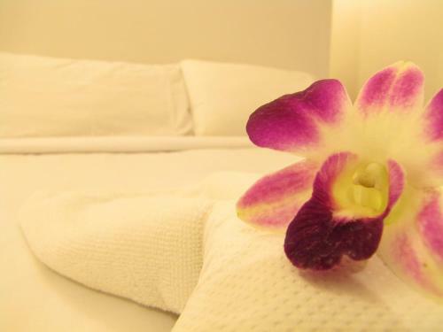 Hostal Mod Guesthouse