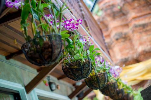 Bed & Breakfast Chedi Home