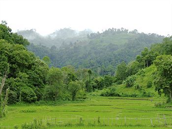 Hotel Hmong Hilltribe Lodge
