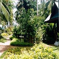Hotel Sand Sea Resort