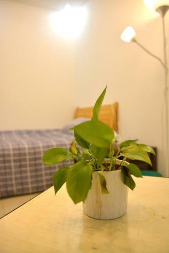 Apartamento Lulun Hotel