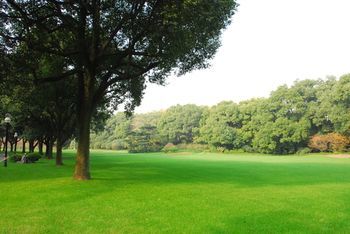 Xijiao State Guest Hotel