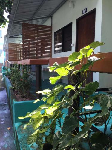Ocean View Resort