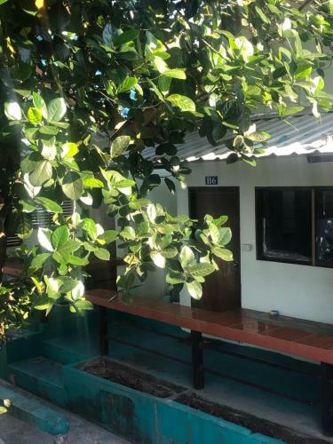 Ocean View Resort