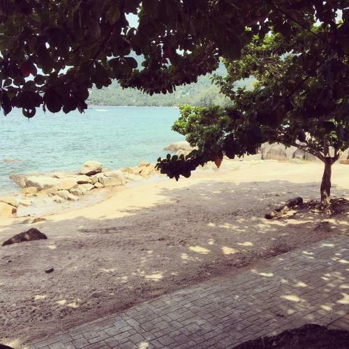 Ocean View Resort