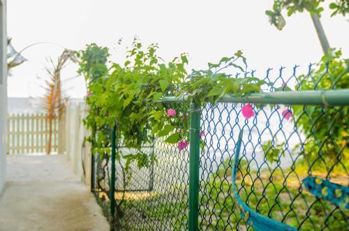 Apartamento Ferienwohnung Barbados - Bed And Breakfast