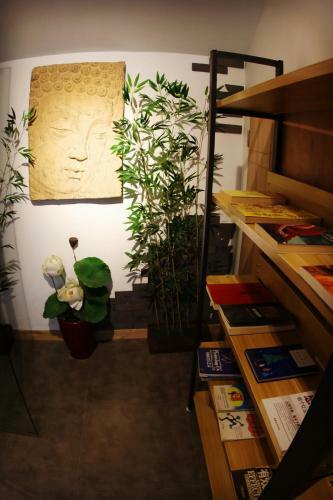 Posada The Phoenix Hostel Shanghai