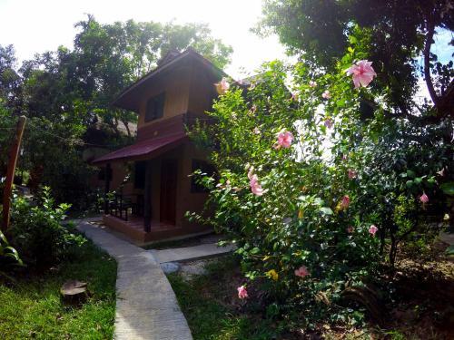Hotel Khao Sok Morning Mist Resort