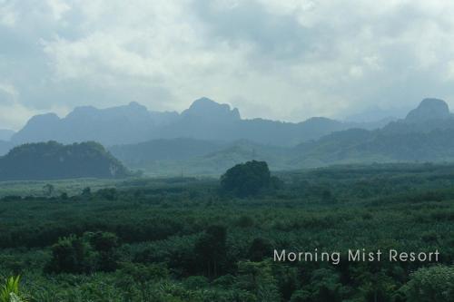 Hotel Khao Sok Morning Mist Resort