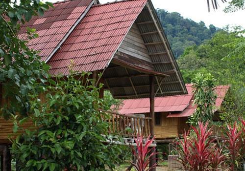 Hotel Khao Sok Palmview Resort