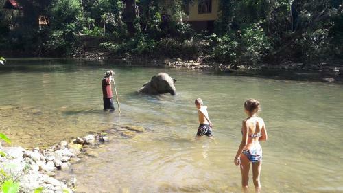 Hotel Khao Sok Holiday Resort