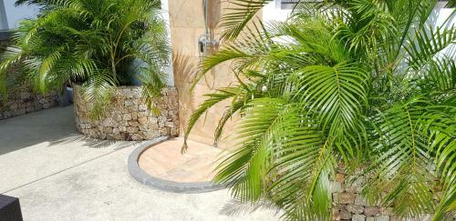 Paradise Island Villa