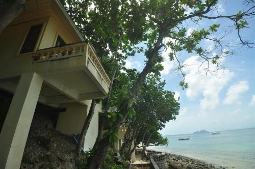 Hotel Rantee View Bungalow