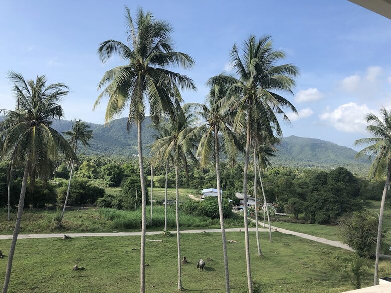 Amarin Samui Hotel