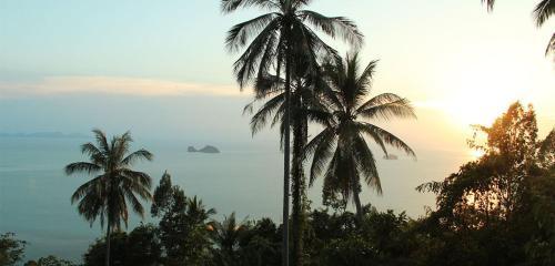 La Costa Samui B&B