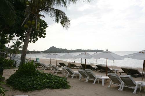 Hotel Samui Jasmine Resort
