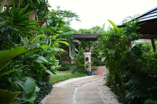 Hotel Samui Jasmine Resort