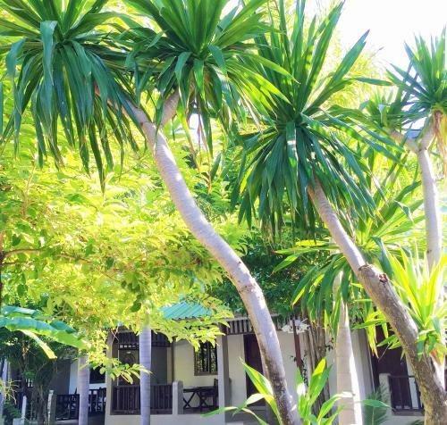 Hotel Lamai Inn 99 Bungalows