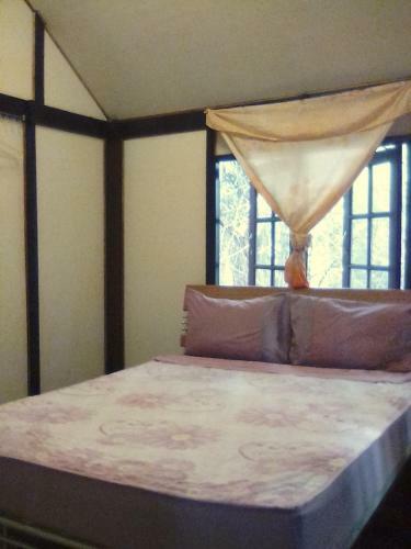 Hostal Green Sun