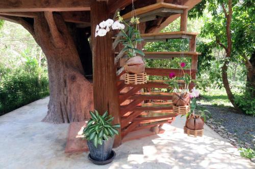 Hostal Macura Resort