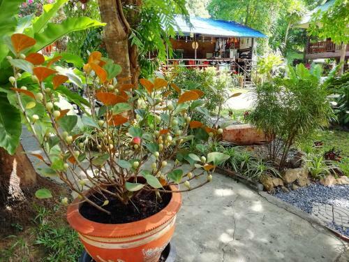 Hostal Macura Resort