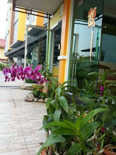Hotel Pc Place Pattaya