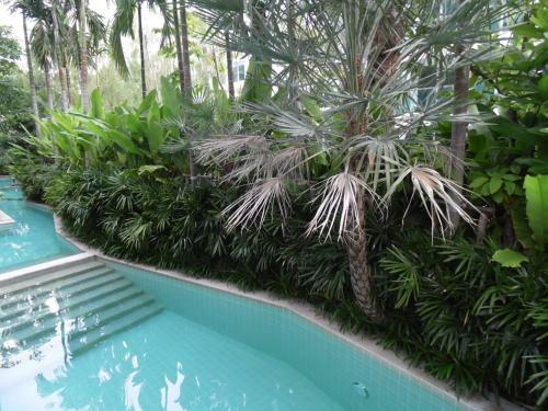 Apartamento Amazon Residence