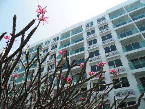 Apartamento Amazon Residence