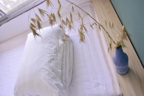 Zhangjiajie Peakcap Backpacker Hostel