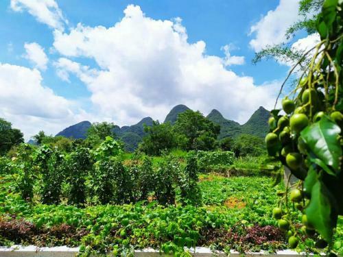 Yangshuo Coco Garden Hotel