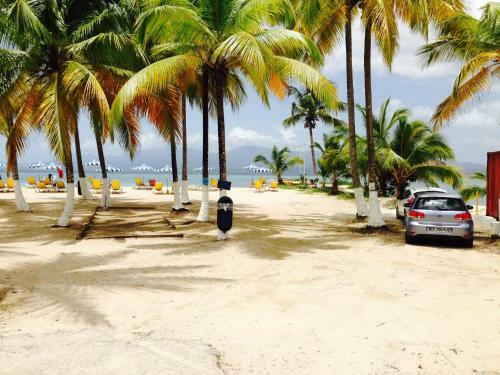 Apartement Plage Guadeloupe