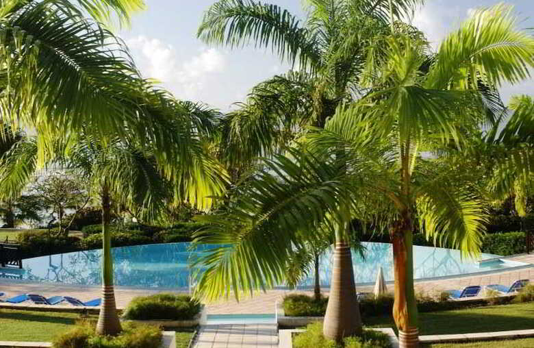 Apartamento Pierre & Vacances Premium Les Tamarins