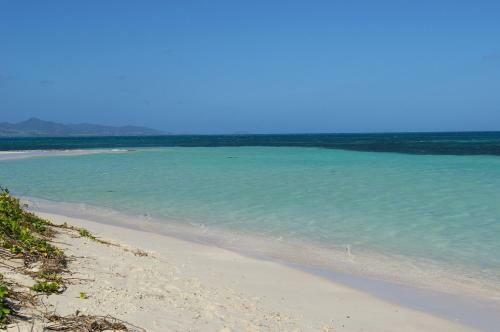 Apartamento Lelagon Vue Mer, Pieds Dans L'eau