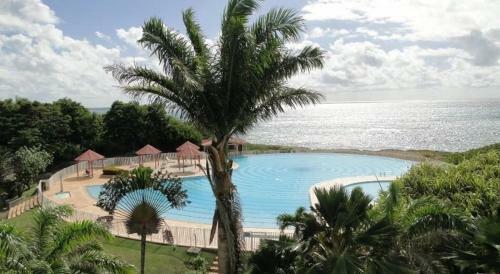 Apartamento L'oiseau Du Paradis Studio
