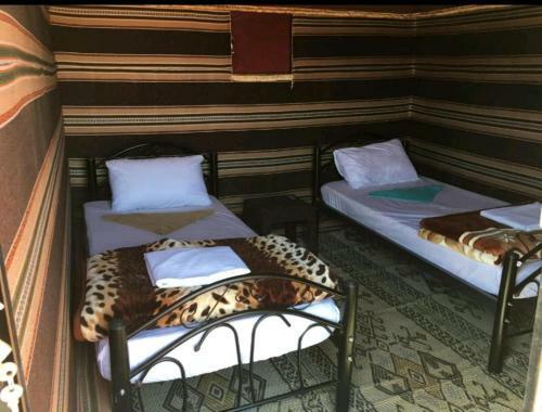 Real Bedouin Camp