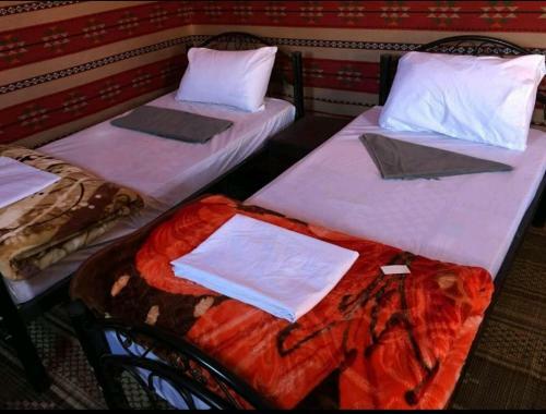 Real Bedouin Camp
