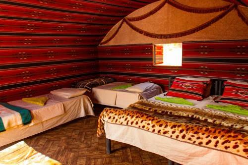 Real Bedouin Camp