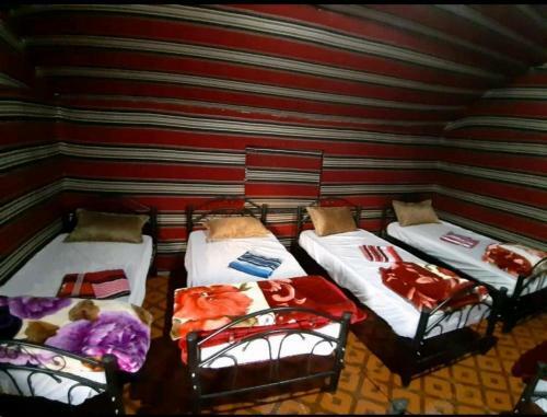 Real Bedouin Camp