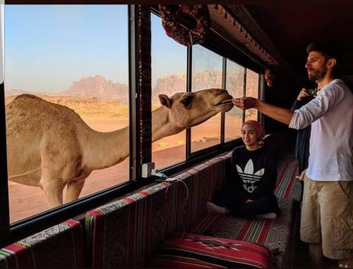 Real Bedouin Camp