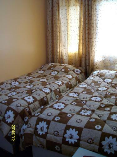 Mussa Spring Hotel