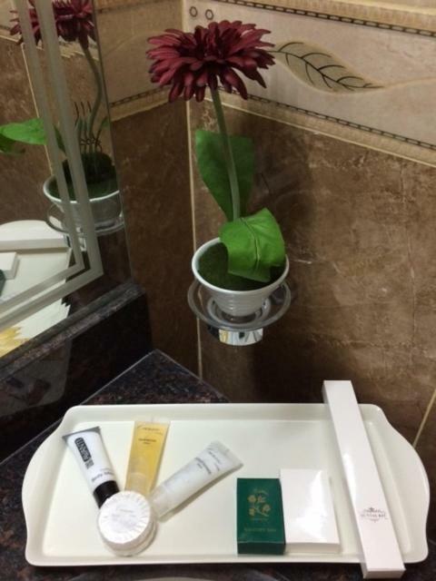 Doha Dynasty Hotel