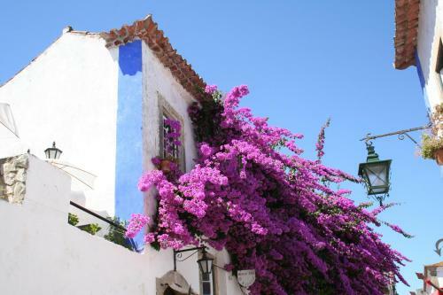 Villa Casa Pinha