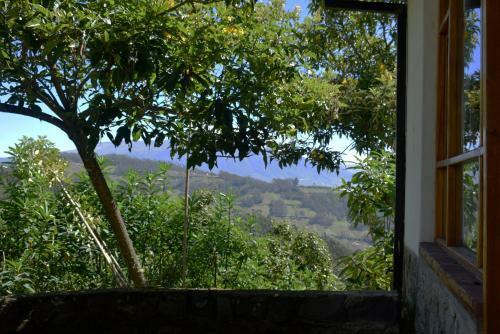 Lodge Casa Mojanda