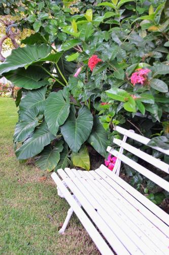 Bed & Breakfast Villa Alem�