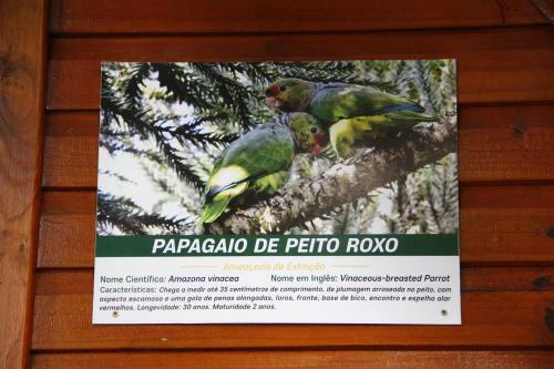 Hostal Pousada Recanto Da Mata