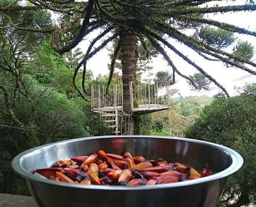 Hostal Pousada Recanto Da Mata