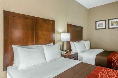 Hotel Comfort Inn South Kingsport